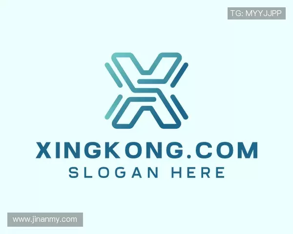了解xingkong.com